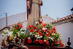 DSC8558